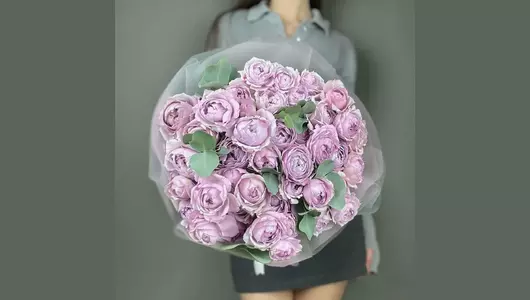 Кустовая пионовидная роза Лавандер Баблс (15шт) FMART by flowwow