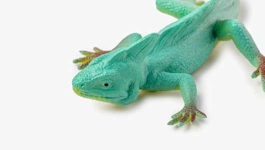 Игрушка "Ящерица" (тянущаяся)