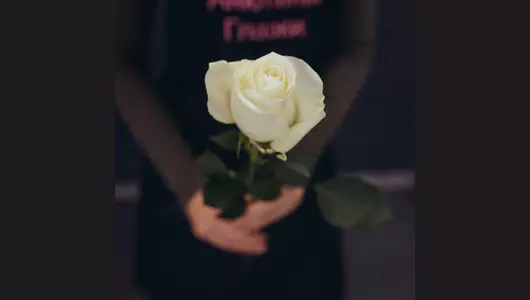 Роза мондиаль, королева роз 5шт. (70см)