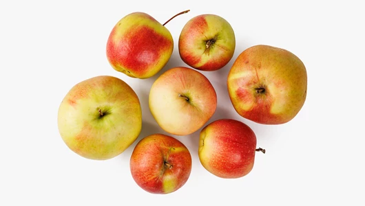 Яблоко деревенское