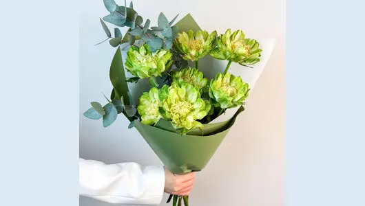 Монобукет из&nbsp;зелeных роз сорта Вегги "Эстетика природы FMART by flowwow