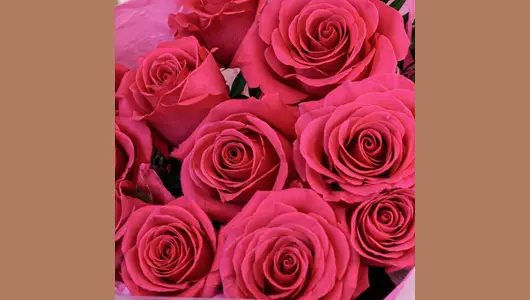 Монобукет из&nbsp;11 роз сорта Пинк флойд "Малиновый соблазн" FMART by flowwow