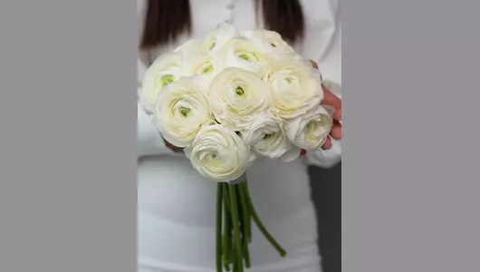 Нежный свадебный букет: белые ранункулюсы