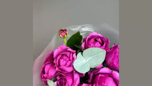 Малиновый взрыв FMART by flowwow