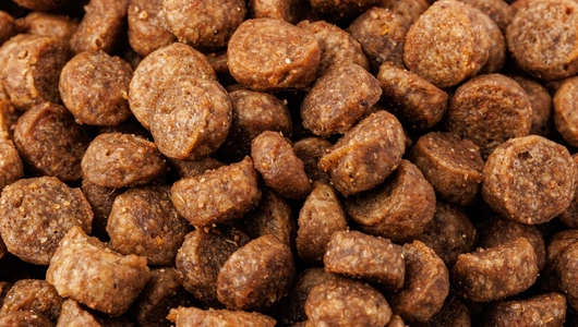 Корм сухой для взрослых кошек с чувствительным пищеварением с индейкой и ягнёнком