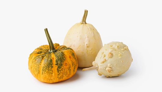 Тыква декоративная в ассортименте, 3 шт