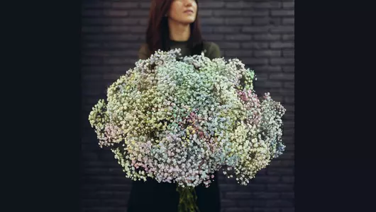 Букет из&nbsp;25 радужных гипсофил