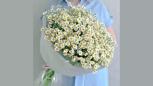 Букет Ромашки FMART by flowwow