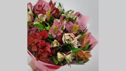 Яркий микс альсромерий "Краски" FMART by flowwow