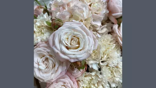 Сливочный пирожное. Букет с&nbsp;кустовыми розами гортензией и&nbsp;гвоздиками FMART by flowwow