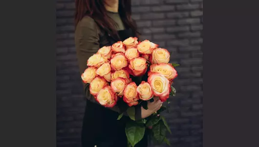 Роза Кахала  5шт. (70см)