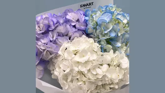 Букет моно из&nbsp;Гортензии FMART by flowwow