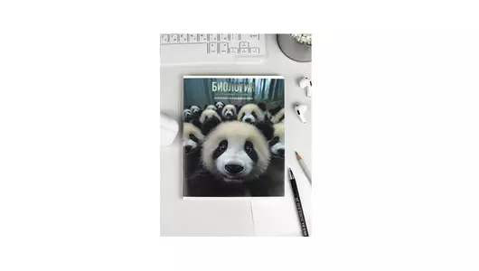 Тетрадь общая Феникс+ предметная Селфи Биология A5 48 листов в клетку на скрепке