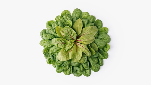 Микс салатный "Шпинат и мангольд", 75 г