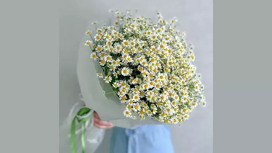 Букет Ромашки FMART by flowwow
