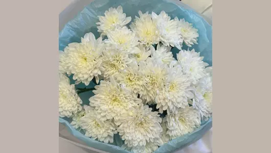 Монобукет из&nbsp;белой кустовой хризантемы балтика FMART by flowwow