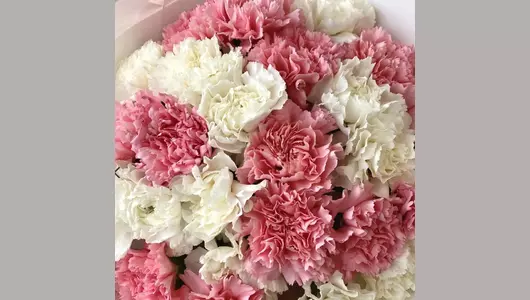 Супер стойкий букет из&nbsp;нежных розовых и&nbsp;белых диантусов «Волшебный сон» FMART by flowwow