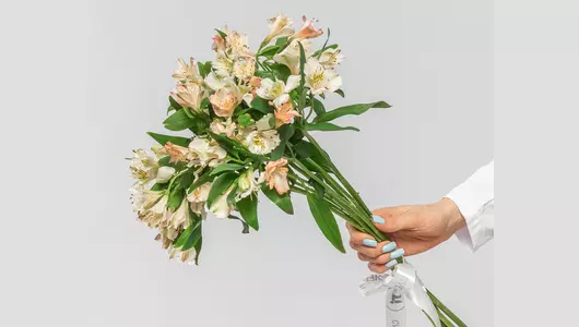 Букет из&nbsp;11 нежных альстромерий микс