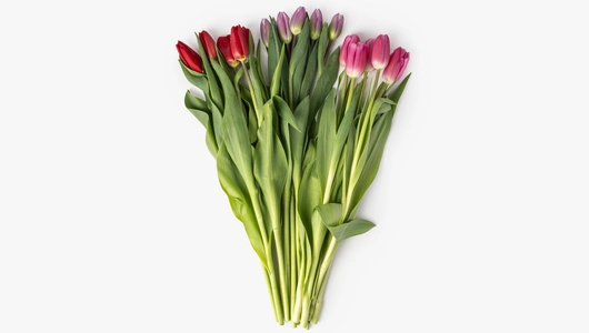 Тюльпаны букет, 5 шт