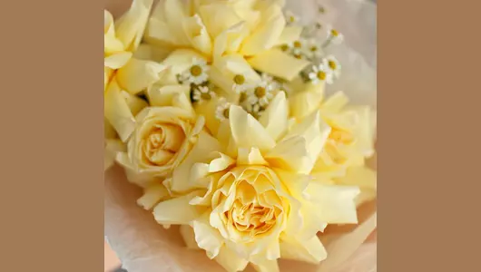 Сладкий зефир. Букет французские розы и&nbsp;ромашки FMART by flowwow