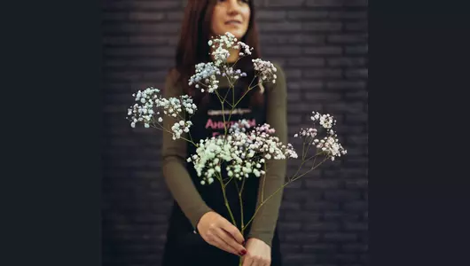 Букет из&nbsp;25 радужных гипсофил