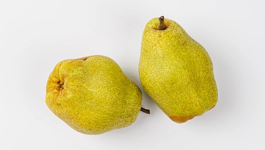Груша Маргарита