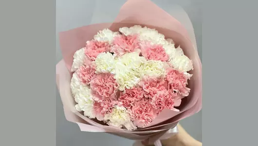 Супер стойкий букет из&nbsp;нежных розовых и&nbsp;белых диантусов «Волшебный сон» FMART by flowwow