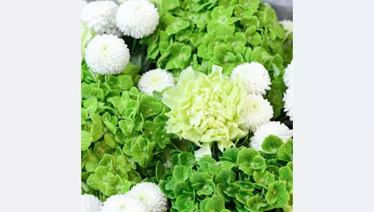 Авторский букет из&nbsp;гортензий и&nbsp;хризантемы "Изумрудная роса" FMART by flowwow