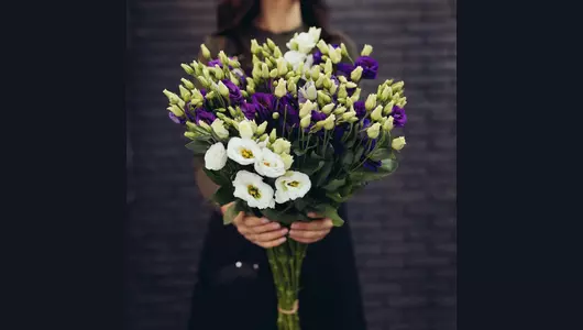 Эустома 11 штук микс
