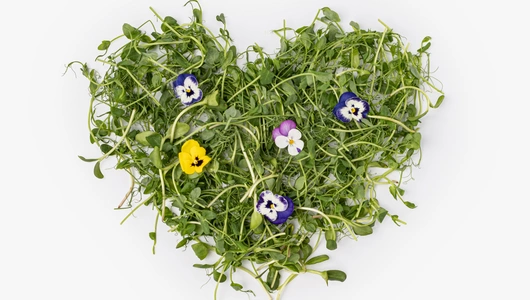 Микс салатный "Цветочное настроение", 50 г