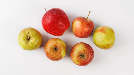 Яблоко Память Мичурина