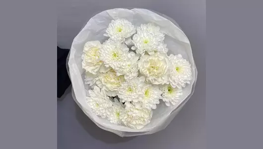 Пушистый белоснежный букет для&nbsp;любимой. Гвоздики и&nbsp;хризантемы FMART by flowwow
