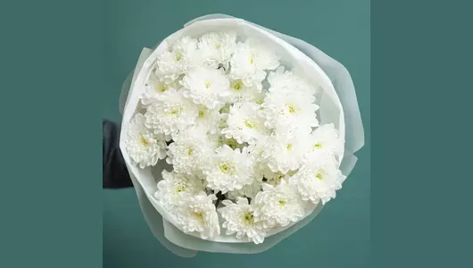 Белое облако хризантемы FMART by flowwow