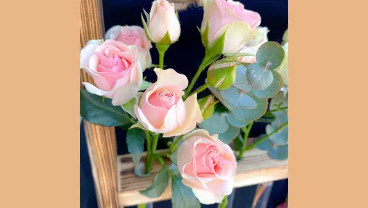 Рамка с&nbsp;розовыми кустовыми розами и&nbsp;эвкалиптом FMART by flowwow