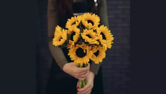 Подсолнух  5шт.