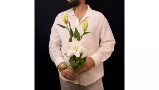 Белая пионовидная лилия Аннушка, великолепная нежность (3шт)