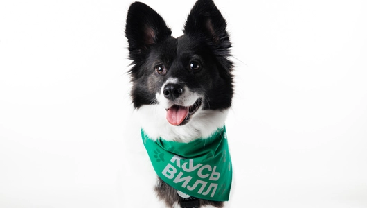 Бандана для собак (зеленая) со светоотражающими элементами