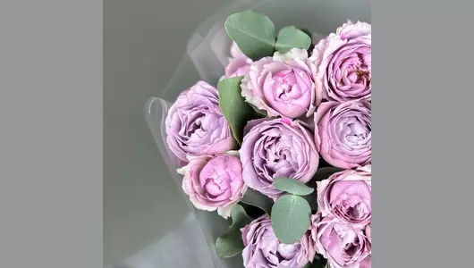 Кустовая пионовидная роза Лавандер Баблс (7шт) FMART by flowwow