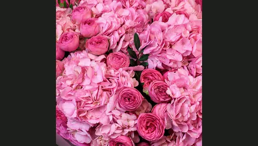 Авторский букет из&nbsp;гортензий и&nbsp;пионовидных роз "Розовые сны" FMART by flowwow