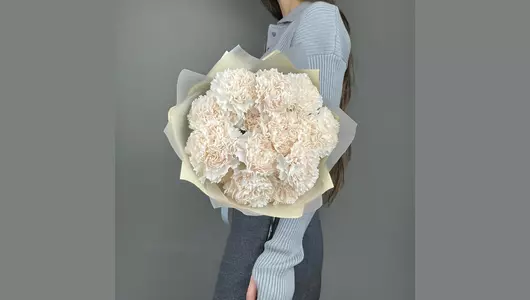 Моно кремовые гвоздики (15шт) FMART by flowwow