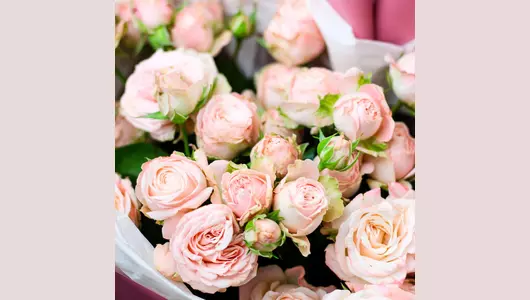 Букет "Элегантное признание" из&nbsp;9 кустовых роз FMART by flowwow