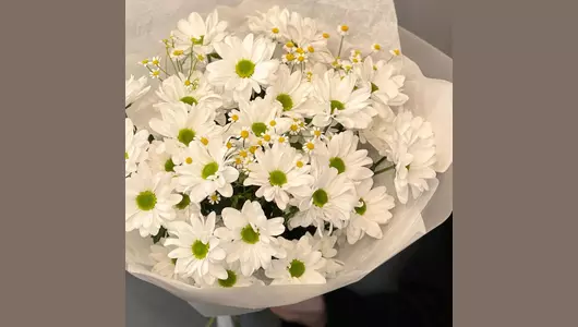 Красивый нежный букет из&nbsp;хризантемы ромашки «Воспоминание» FMART by flowwow