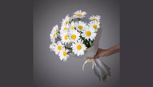 Монобукет Ромашки 19 шт