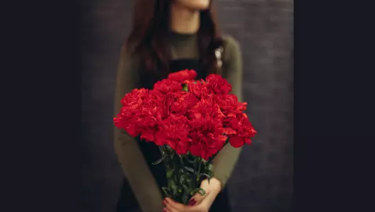 Гвоздика красная