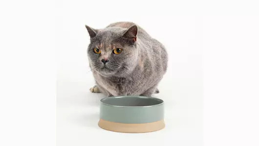 SCRUFFS Миска керамическая для собак и кошек "Scandi", серая, 14х14х5см, 400мл (Великобритания)