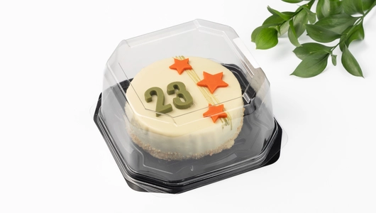 Торт муссовый "Звездный" два шоколада