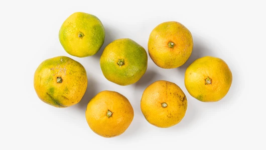 Мандарины Абхазия