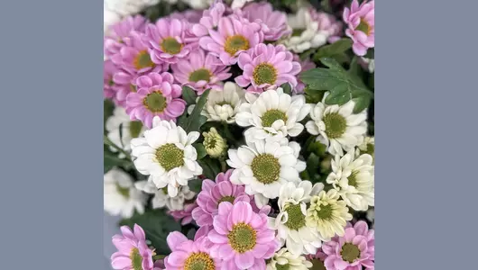 Букет 19 Сантини микс FMART by flowwow