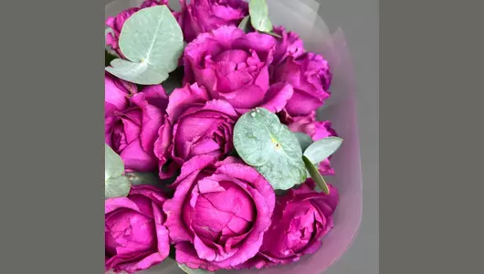 Малиновый взрыв FMART by flowwow