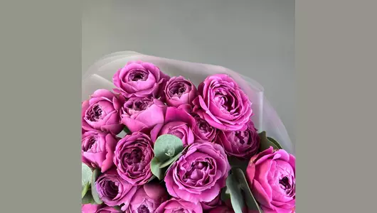 Мисти Баблс (9 шт) FMART by flowwow